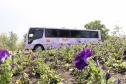 Ônibus lilás leva apoio às mulheres vítimas de violência no Paraná