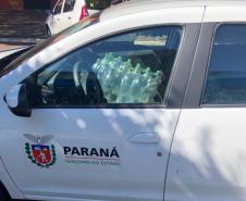 Governo entrega álcool líquido para 264 entidades que atendem idosos nos 399 municípios do Paraná