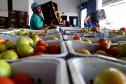 Curso de alimentos