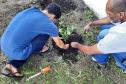 Projeto de cultivo de abelhas em Cense do Paraná é reconhecido em premiação do CNJ