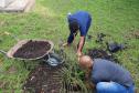 Projeto de cultivo de abelhas em Cense do Paraná é reconhecido em premiação do CNJ