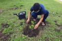 Projeto de cultivo de abelhas em Cense do Paraná é reconhecido em premiação do CNJ