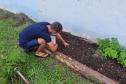 Projeto de cultivo de abelhas em Cense do Paraná é reconhecido em premiação do CNJ