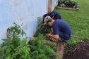 Projeto de cultivo de abelhas em Cense do Paraná é reconhecido em premiação do CNJ