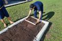 Projeto de cultivo de abelhas em Cense do Paraná é reconhecido em premiação do CNJ