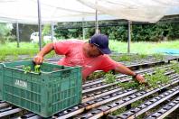 Renda Agricultor Familiar fica em 3º lugar no Prêmio Estratégia ODS 2022