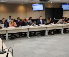 Trabalho e Geração de Renda é destaque em Conselho de Direito