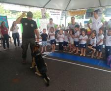 Feira de Serviços registra mais de 14 mil atendimentos em Jandaia do Sul