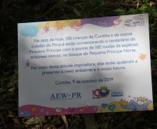 Piá Ambiental