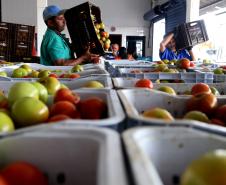 Curso de alimentos