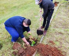 Centros de Socioeducação 1 de Londrina e de Ponta Grossa promovem atividades de horticultura e fruticultura 