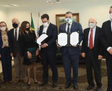 Paraná terá exame de DNA gratuito: um avanço científico para garantir a dignidade humana