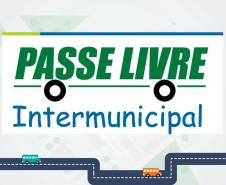 Secretaria de Justiça, Família e Trabalho promove treinamento para gestores municipais da assistência social sobre Operacionalização do Sistema Passe Livre 