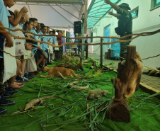 FEIRA DE serviços 