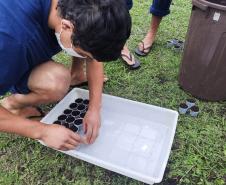 Projeto de cultivo de abelhas em Cense do Paraná é reconhecido em premiação do CNJ