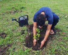 Projeto de cultivo de abelhas em Cense do Paraná é reconhecido em premiação do CNJ