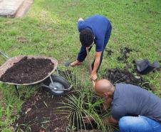 Projeto de cultivo de abelhas em Cense do Paraná é reconhecido em premiação do CNJ