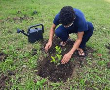 Projeto de cultivo de abelhas em Cense do Paraná é reconhecido em premiação do CNJ