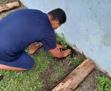 Projeto de cultivo de abelhas em Cense do Paraná é reconhecido em premiação do CNJ