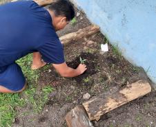 Projeto de cultivo de abelhas em Cense do Paraná é reconhecido em premiação do CNJ