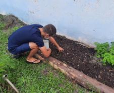 Projeto de cultivo de abelhas em Cense do Paraná é reconhecido em premiação do CNJ