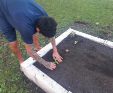 Projeto de cultivo de abelhas em Cense do Paraná é reconhecido em premiação do CNJ