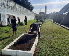 Projeto de cultivo de abelhas em Cense do Paraná é reconhecido em premiação do CNJ