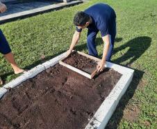 Projeto de cultivo de abelhas em Cense do Paraná é reconhecido em premiação do CNJ