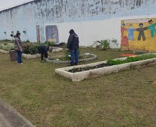 Projeto de cultivo de abelhas em Cense do Paraná é reconhecido em premiação do CNJ