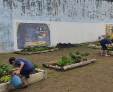 Projeto de cultivo de abelhas em Cense do Paraná é reconhecido em premiação do CNJ