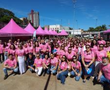 Paraná Rosa em Ação do Dia Internacional da Mulher será em Londrina