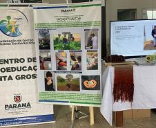 Paraná em Ação registra mais de 6 mil atendimentos em Palmeira