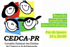 Reunião CEDCA