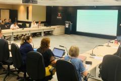 Reunião Coede