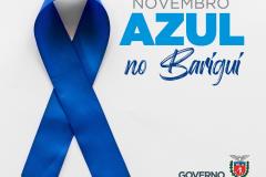 Novembo Azul no Barigui