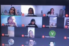 Videoconferência debate sobre violência contra mulheres, crianças, adolescentes ou idosos em condomínios residenciais e comerciais