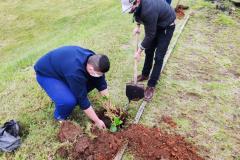 Centros de Socioeducação 1 de Londrina e de Ponta Grossa promovem atividades de horticultura e fruticultura 