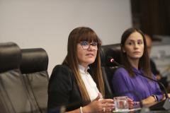 Secretaria da Justiça participa de audiência pública sobre os desafios da mulher