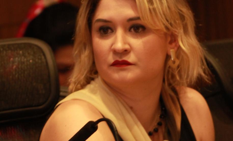 Conselhos de Dieito no Palácio Iguaçu