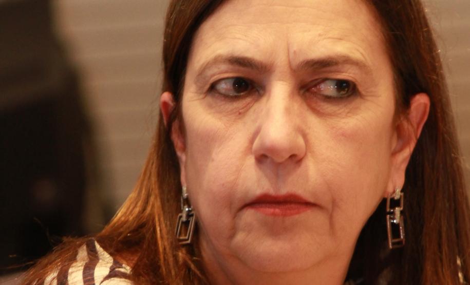 Conselhos de Dieito no Palácio Iguaçu