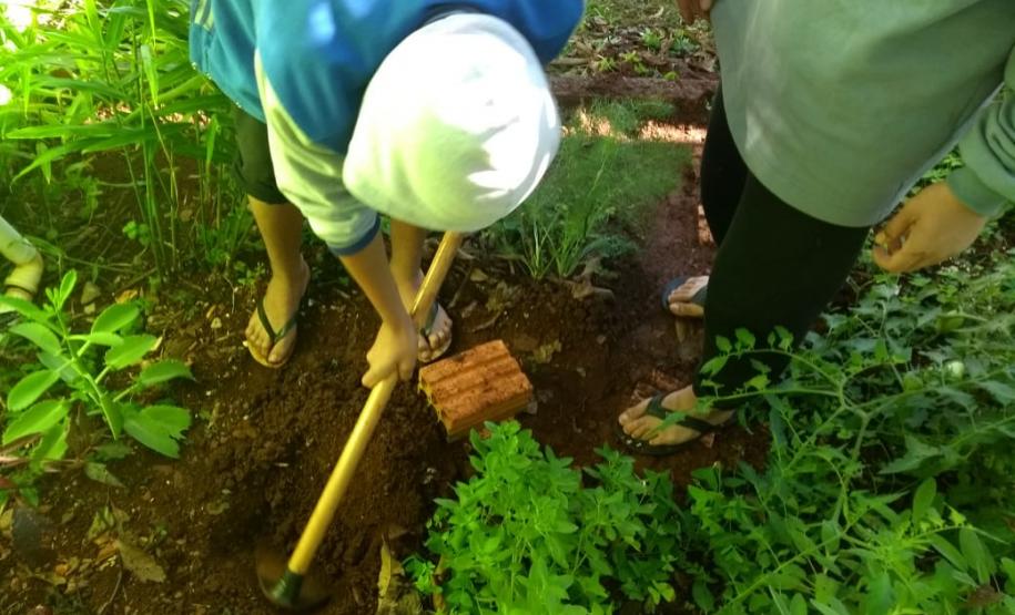 Atendimento Socioeducativo