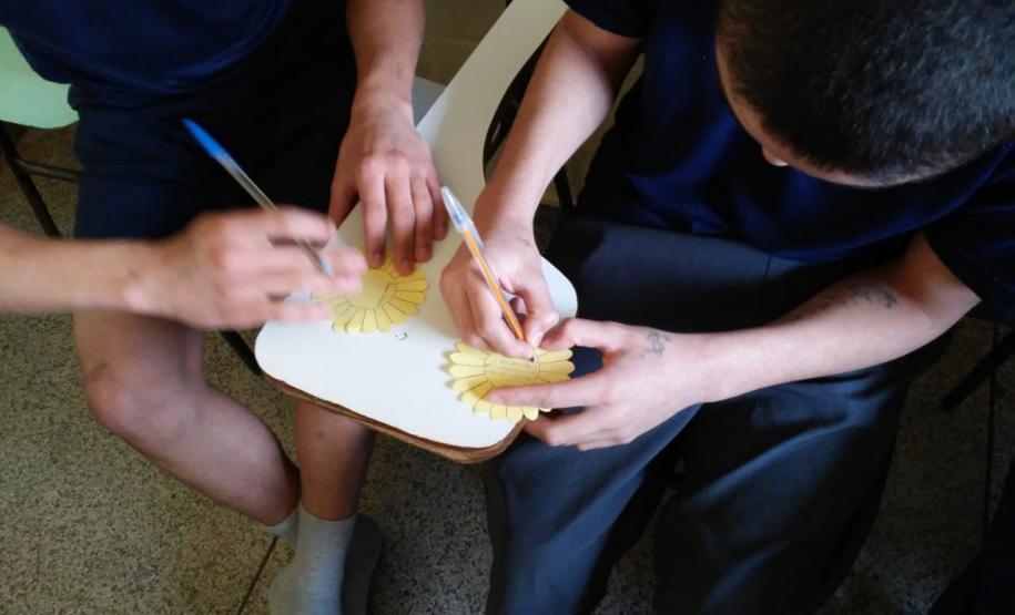 Campanhas de Saúde nas unidades de socioeducação