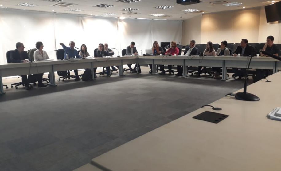 Grupo de Trabalho do Orçamento Criança reafirma compromisso para proteção integral da criança e adolescente