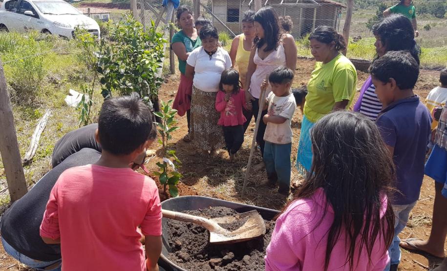 Secretaria da Justiça, Família e Trabalho enaltece o fortalecimento da economia paranaense pelos trabalhadores rurais