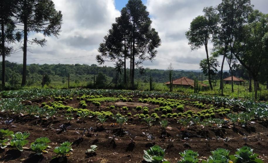Secretaria da Justiça, Família e Trabalho enaltece o fortalecimento da economia paranaense pelos trabalhadores rurais