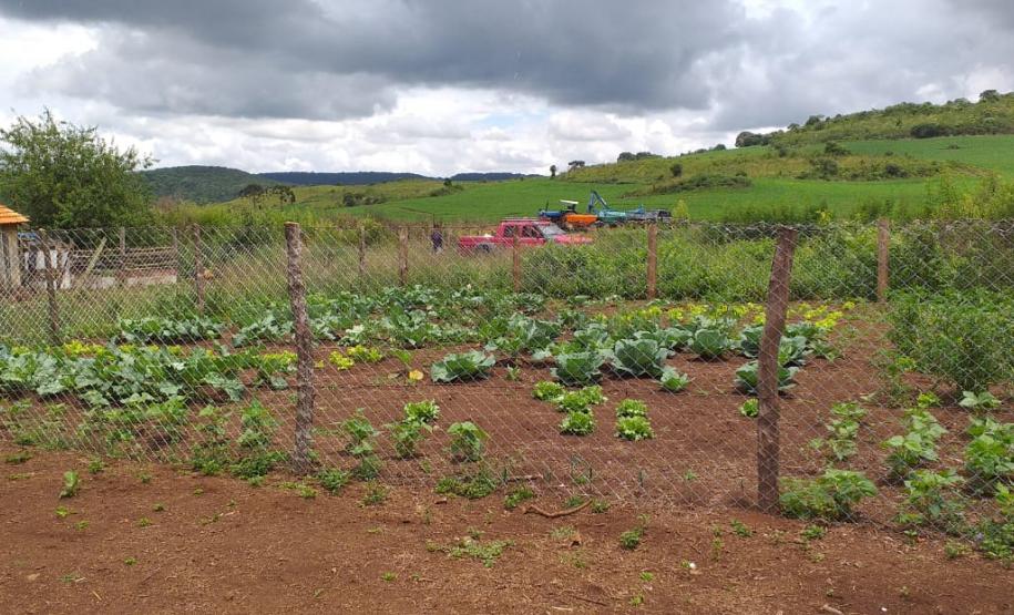 Secretaria da Justiça, Família e Trabalho enaltece o fortalecimento da economia paranaense pelos trabalhadores rurais
