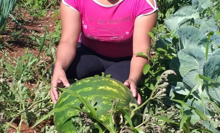 Secretaria da Justiça, Família e Trabalho enaltece o fortalecimento da economia paranaense pelos trabalhadores rurais