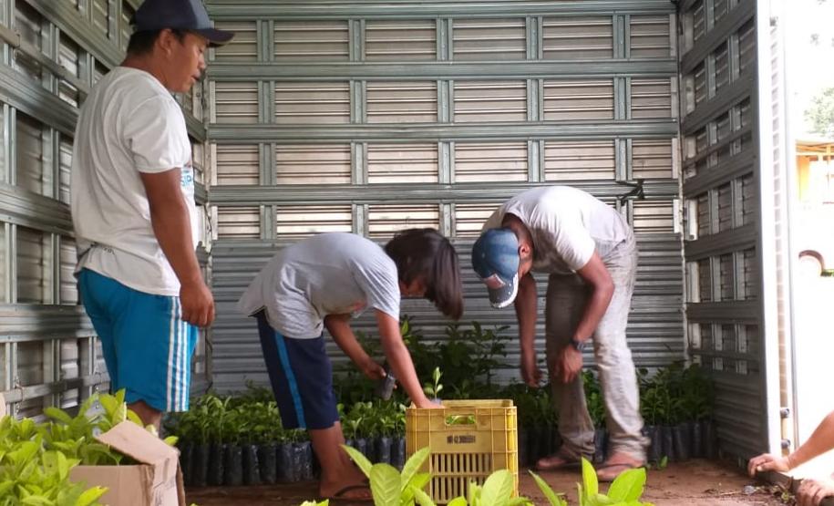 Secretaria da Justiça, Família e Trabalho enaltece o fortalecimento da economia paranaense pelos trabalhadores rurais
