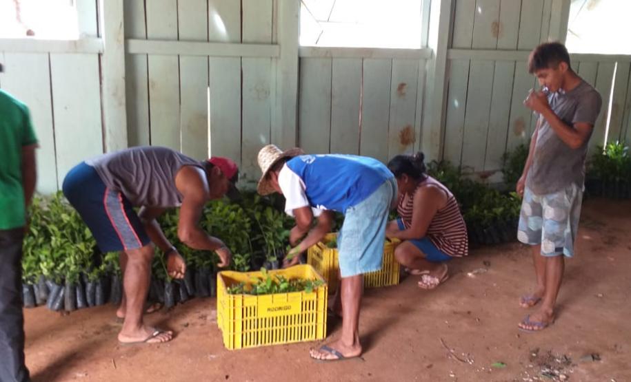 Secretaria da Justiça, Família e Trabalho enaltece o fortalecimento da economia paranaense pelos trabalhadores rurais