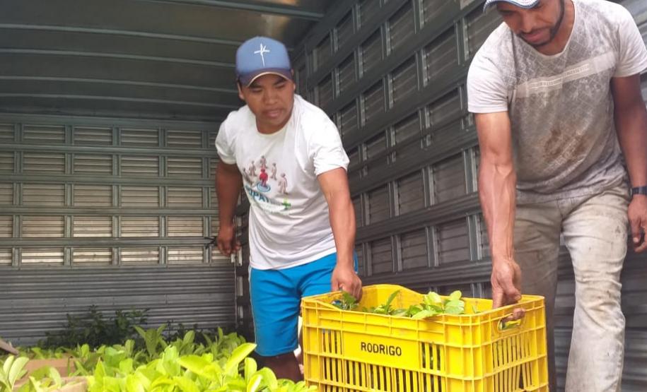 Secretaria da Justiça, Família e Trabalho enaltece o fortalecimento da economia paranaense pelos trabalhadores rurais